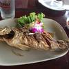 ปลากระพงทอดน้ำปลา ที่ ร้านอาหาร ทับทิมทอง