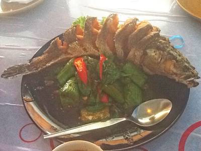 ปลาช่อนราชบุรี ที่ ร้านอาหาร เพื่อคุณ
