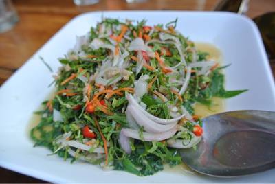 ยำผักกูด เปรี้ยวจิ๊ด ที่ ร้านอาหาร ครัวม่อนไข่ ยำผักกูด เปรี้ยวจิ๊ด ที่ ร้านอาหาร ครัวม่อนไข่