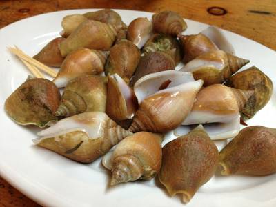 หอยชักติน ฟินเวอร์ ^^ ที่ ร้านอาหาร ครัวธารา หลังสึนามิ