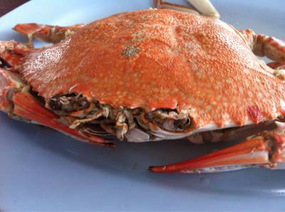 ปูม้านึ่ง ที่ ร้านอาหาร มงคลฟาร์ม