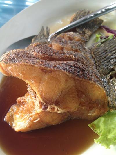 ปลาเก๋าทอดน้ำปลา ที่ ร้านอาหาร แพครูวิทย์