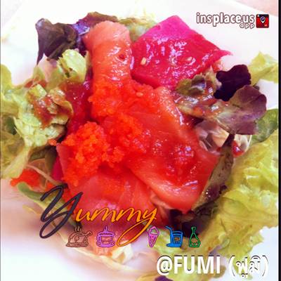 สลัดแซลมอน ที่ ร้านอาหาร FUMI JAPANESE CUISINE The Mall Bangkae สลัดแซลมอน ที่ ร้านอาหาร FUMI JAPANESE CUISINE The Mall Bangkae