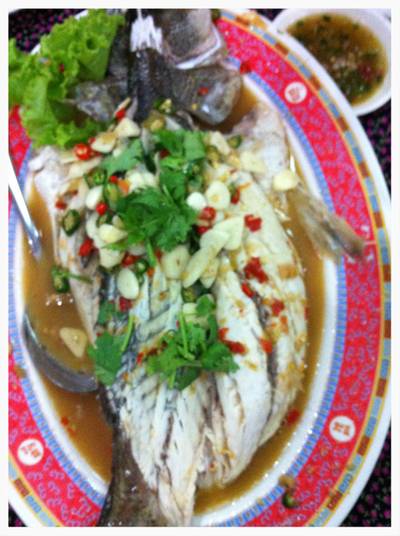 ปลากระพงนึ่งมะนาว ที่ ร้านอาหาร กุ้งอบภูเขาไฟ