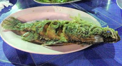 ปลากระพงทอดน้ำปลา ที่ ร้านอาหาร สังเวียน ซีฟู๊ด