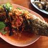 ปลาช่อนลุยสวน  ที่ ร้านอาหาร ร้านอาหารริมคลองน้ำอ้อม