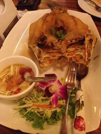 ปลากระพงราดน้ําปลา ที่ ร้านอาหาร มดแดงอาหารไทย ปลากระพงราดน้ําปลา ที่ ร้านอาหาร มดแดงอาหารไทย