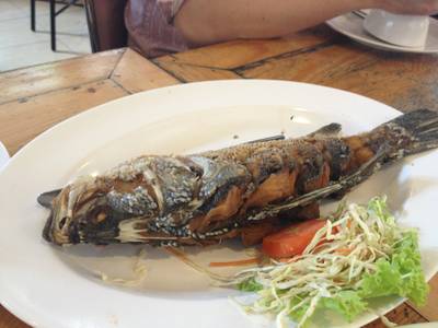 ปลาทอด ที่ ร้านอาหาร ครัวธารา หลังสึนามิ
