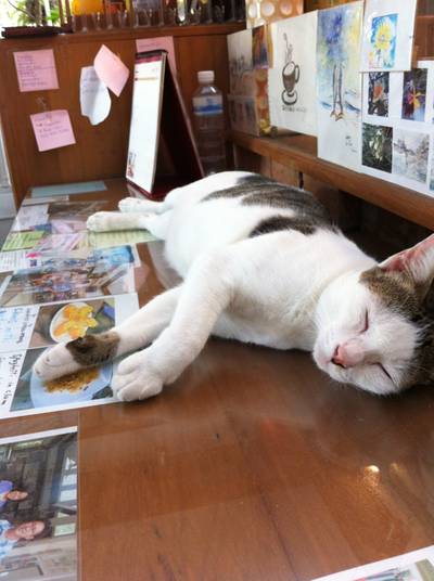 ที่ทับกระดาษมีชีวิต ที่ ร้านอาหาร SKETCH BOOK Art Café 