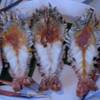 กุ้งแม่น้ำเผา.  ที่ ร้านอาหาร สยาม ๗๗