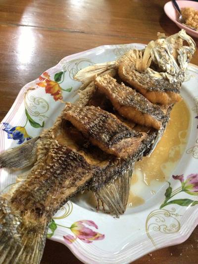 ปลากระพงทอดน้ำปลา ที่ ร้านอาหาร แดงอาหารทะเล (เจ๊แดง) เจ้าเก่า