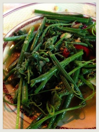 ผัดผักแม้ว ที่ ร้านอาหาร เจ๊ไข่ ประชาชื่น