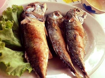 ปลาทูทอดน้ำปลา !! ที่ ร้านอาหาร จานโปรด ปลาทูทอดน้ำปลา !! ที่ ร้านอาหาร จานโปรด