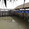 มาช่วงสงกรานต์ น้ำแห้งเชียว ที่ ร้านอาหาร จุดชมวิวทะเลกรุงเทพฯ