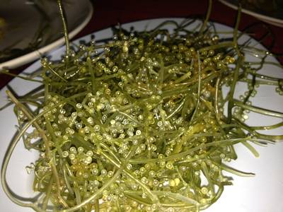สาหร่ายสด ที่ ร้านอาหาร หมอมูดง