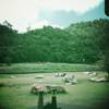 ชมบรรยากาศพักกันก่อนนะก่อนจานต่อไป ที่ ร้านอาหาร vino di zanotti