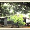 นอกร้าน ที่ ร้านอาหาร ร้านก๋วยเตี๋ยวลีลา