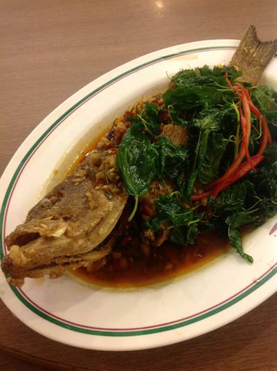 ร้านอาหาร สมบูรณ์โภชนา รัชดา