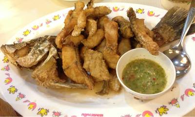 ปลากระพงทอดน้ำปลา ที่ ร้านอาหาร นิตยาไก่ย่าง ปิ่นเกล้า