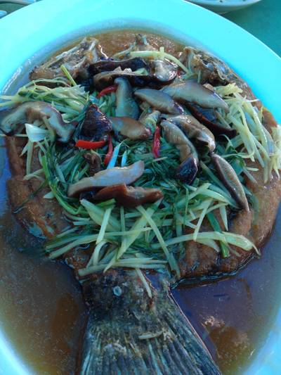 ปลากระพงทอดราดน้ำซีอิ๊ว ที่ ร้านอาหาร บ้านอิสระ