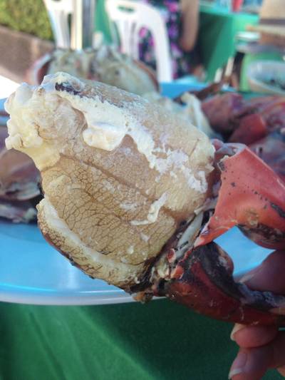ปู!!!!สดๆหวานๆสุดๆอร่อยๆ ที่ ร้านอาหาร บ้านอิสระ ปู!!!!สดๆหวานๆสุดๆอร่อยๆ ที่ ร้านอาหาร บ้านอิสระ