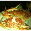 ปูม้านึ่ง. สดอร่อยที่น้ำจิ้ม ที่ ร้านอาหาร ปรายทะเล ซีฟู๊ด