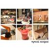 ร้านอาหาร After You Dessert Cafe J Avenue