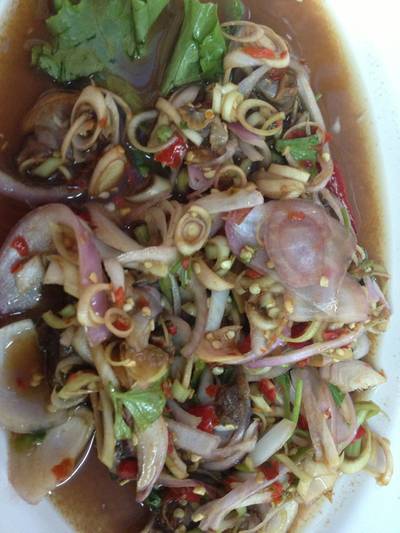 ยำหอยแครง ที่ ร้านอาหาร แซ่บวัน ตำซั่ว ยำหอยแครง ที่ ร้านอาหาร แซ่บวัน ตำซั่ว