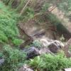 ร้านอาหาร ผาลาดตะวันรอน