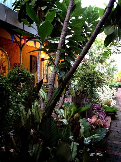 บริเวณสวนด้านนอกร้าน ร่มรื่นดี ที่ ร้านอาหาร คุณเชิญ มังสวิรัติ
