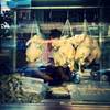 ร้านอาหาร ข้าวมันไก่นายธง