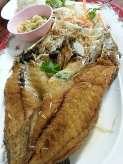 ร้านอาหาร ม. ม้าซีฟู้ด