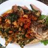 ปลากระพงทอดสมุนไพร ที่ ร้านอาหาร เรือนทอง