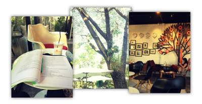 บรรยากาศโดยรวม ที่ ร้านอาหาร ร่มไม้ ไออุ่น (Rom Mai Ai Aoon)