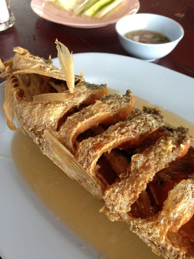 ร้านอาหาร มงคลฟาร์ม