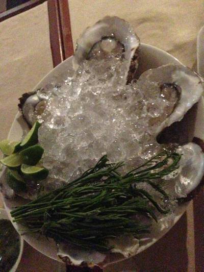 หอยนางรมสด ที่ ร้านอาหาร Buri Tara Wine Bar & Restaurant
