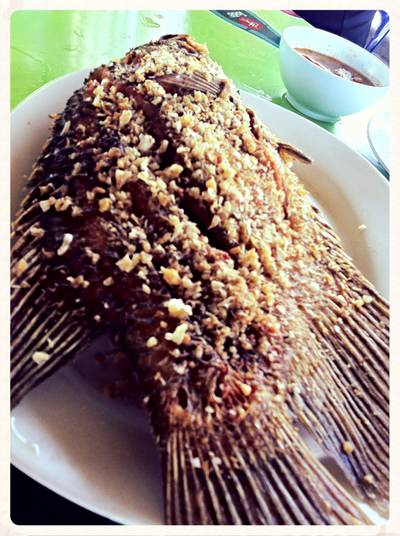 ร้านอาหาร ชูชกยิ้ม(กุ้งอบซอท)