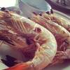 กุ้งแชบ๊วยเผา~เนื้อแน่น ที่ ร้านอาหาร วังมุข
