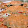 ปูม้านึ่ง (โลละ฿450-480 ขนาด 3ตัวโล) ที่ ร้านอาหาร ป. เป้ากุ้งเผา