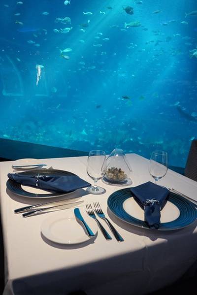 ที่เห็นเป็นกระจกกั้นๆคือห้องในโรงแรมที่มีวิวแบบนี้คะ ที่ ร้านอาหาร Ocean Restaurant By Cat Cora ที่เห็นเป็นกระจกกั้นๆคือห้องในโรงแรมที่มีวิวแบบนี้คะ ที่ ร้านอาหาร Ocean Restaurant By Cat Cora