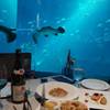 พี่กระเบนน้อยมาทักทาย ที่ ร้านอาหาร Ocean Restaurant By Cat Cora
