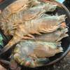 ร้านอาหาร Sumi Sumi Grand Sukhumvit 16