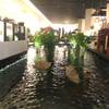 บรรยากาศของร้านแสนสบาย ที่ ร้านอาหาร Whittard of Chelsea Siam Paragon
