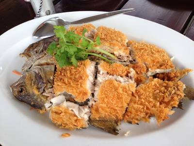ปลาสำลีทอด อร่อยมากค่ะ ที่ ร้านอาหาร บ้านน้ำเคียงดิน ปลาสำลีทอด อร่อยมากค่ะ ที่ ร้านอาหาร บ้านน้ำเคียงดิน