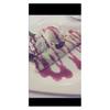 ร้านอาหาร Greyhound Cafe Avenue รัชโยธิน