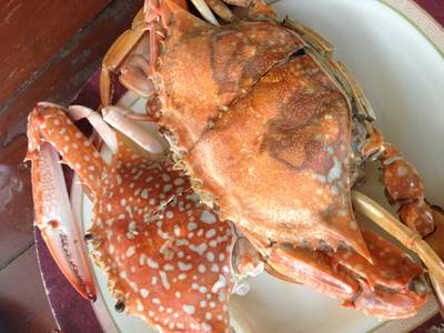 ร้านอาหาร ม. ม้าซีฟู้ด