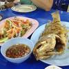ส้มตำปูม้า กับ ปลาเก๋าทอด ที่ ร้านอาหาร อุดมโภชนา