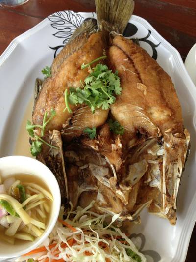 ร้านอาหาร ม. ม้าซีฟู้ด