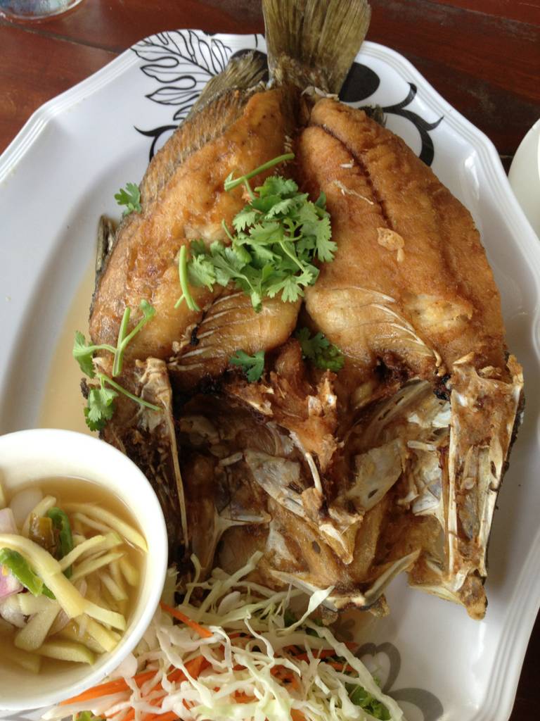 ปลากระพงทอดราดน้ำปลา อร่อยสดมากๆ ที่ ร้านอาหาร ม. ม้าซีฟู้ด