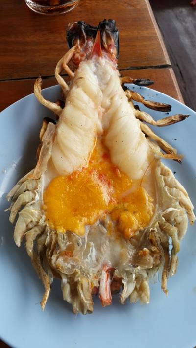 ต้นน้ำริเวอร์วิว อยุธยา ที่ ร้านอาหาร ต้นน้ำ บางปะอิน ต้นน้ำริเวอร์วิว อยุธยา ที่ ร้านอาหาร ต้นน้ำ บางปะอิน